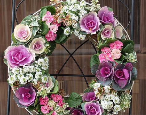 ワイヤリースで作る クリスマスの寄せ植え